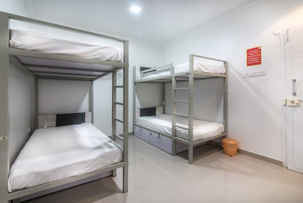 Backpacker Panda Pune