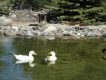 Paradise Gateway B&B and Vacation Homes