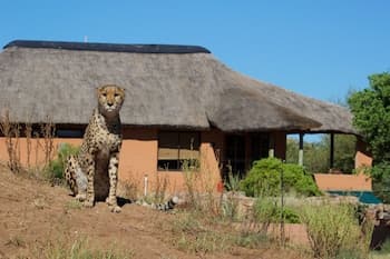Babson House @ Cheetah Conservation Fund