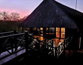 Lion Tree Bush Lodge