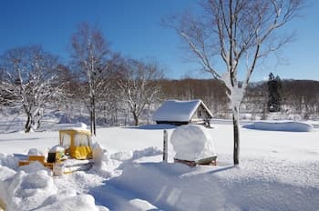 Gassan Pole Pole Farm