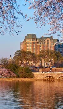 Salamander Washington DC