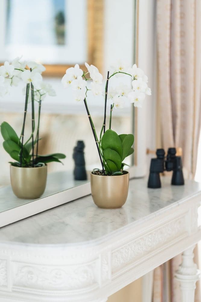 Grand Hotel National