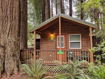 Emerald Forest Cabins