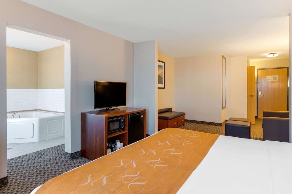 Comfort Suites South Haven near I-96