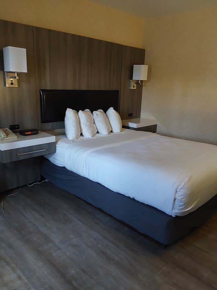 Lavissh Inn & Suites