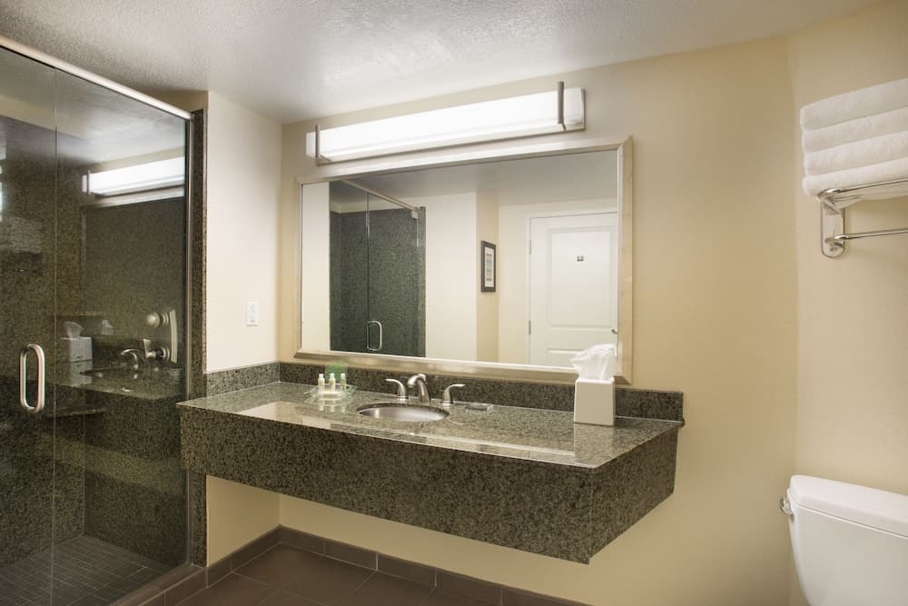 Holiday Inn Hotel & Suites Scottsdale North - Airpark by IHG