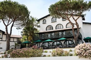 Les Hortensias Du Lac