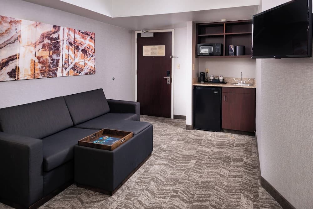 Springhill Suites by Marriott Pittsburgh North Shore