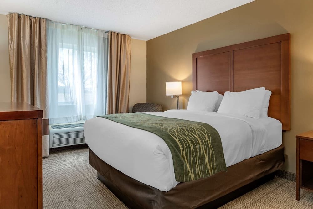Comfort Inn & Suites Diamondale – Lansing