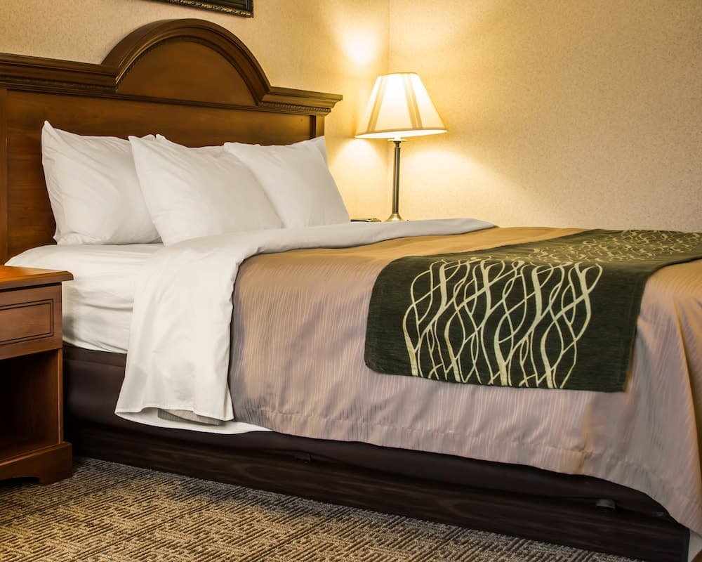 Comfort Inn & Suites Diamondale – Lansing