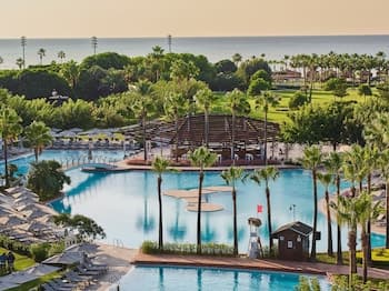 Lara Barut Collection