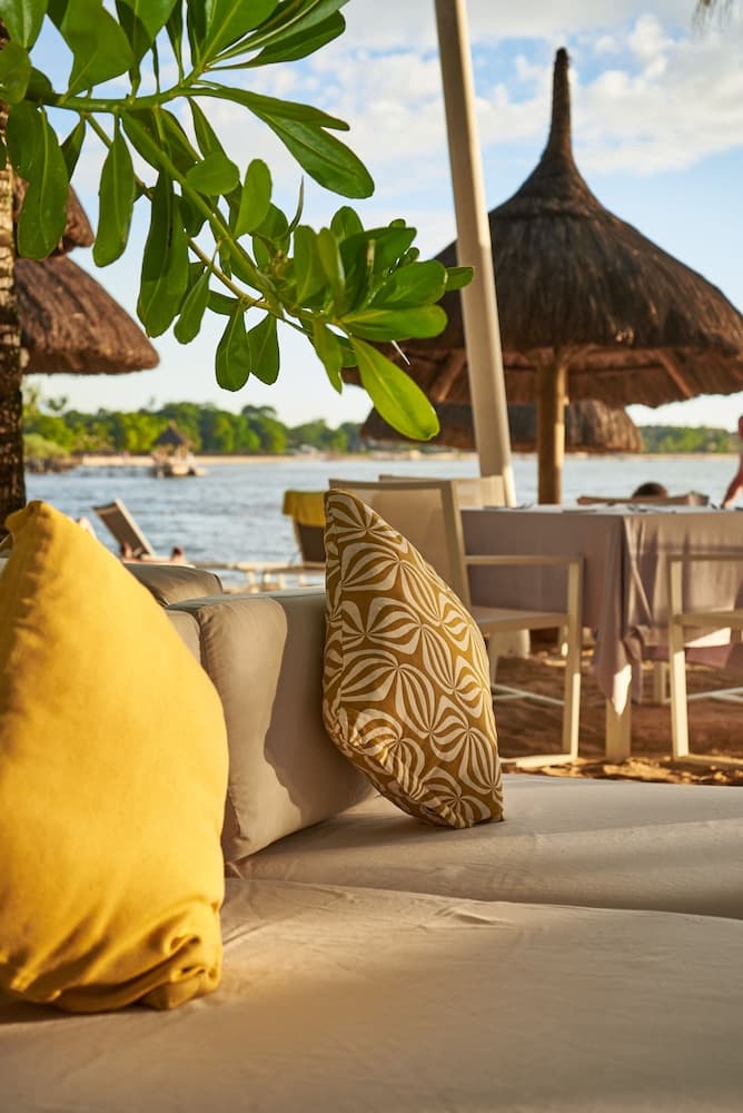 The Ravenala Attitude