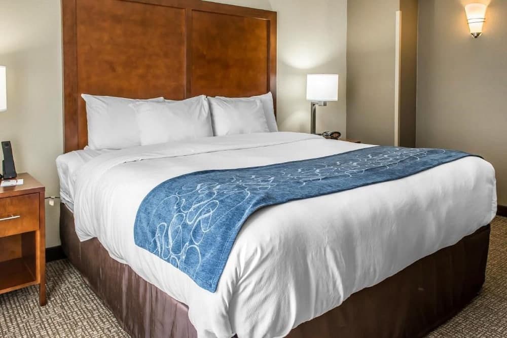 Comfort Suites Near Potomac Mills