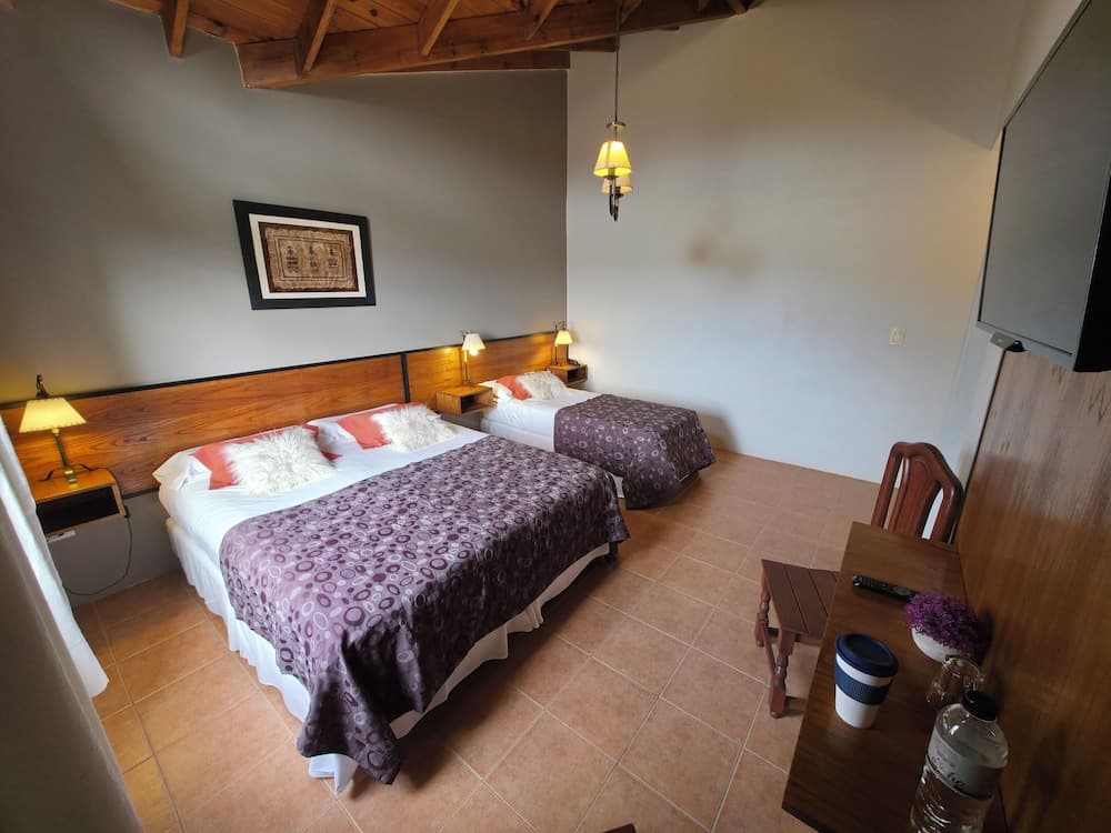 Glaciares De La Patagonia