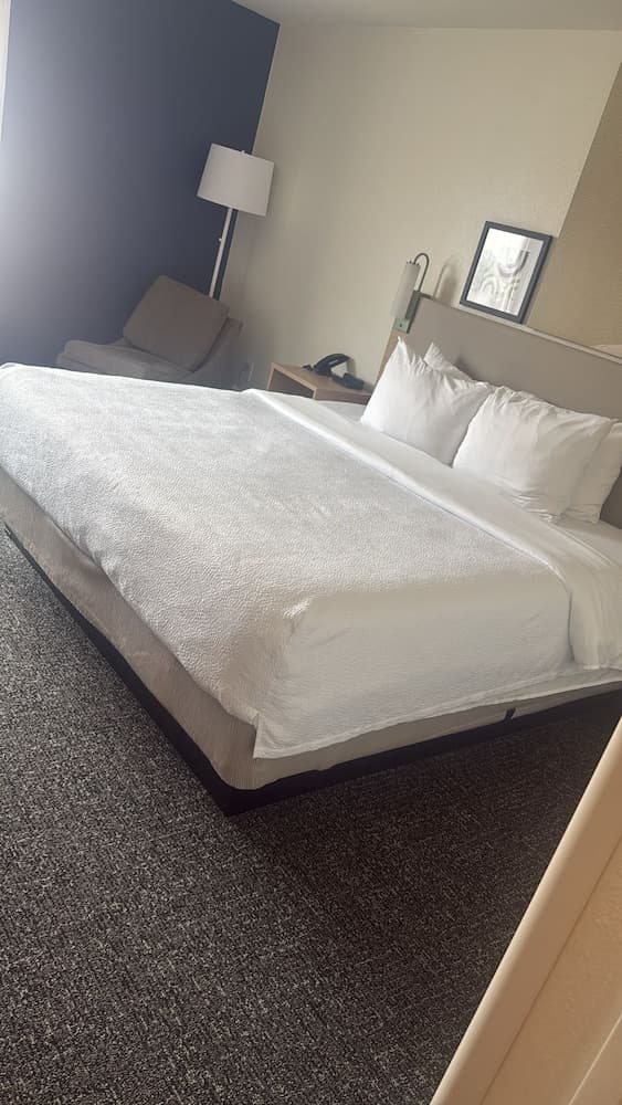 Spark by Hilton Killeen