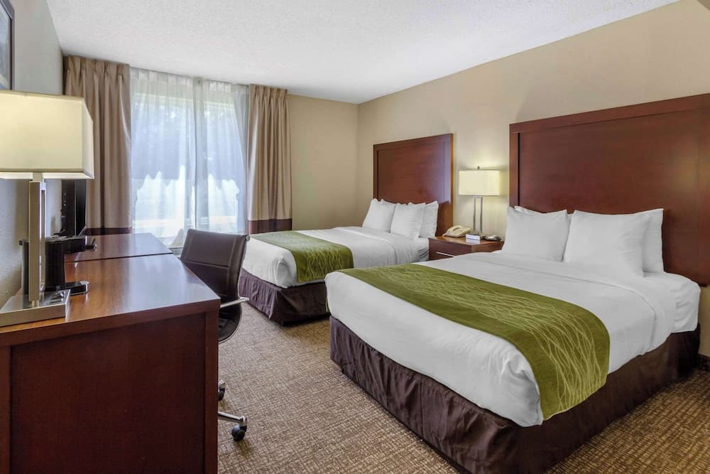 Comfort Inn St Petersburg North