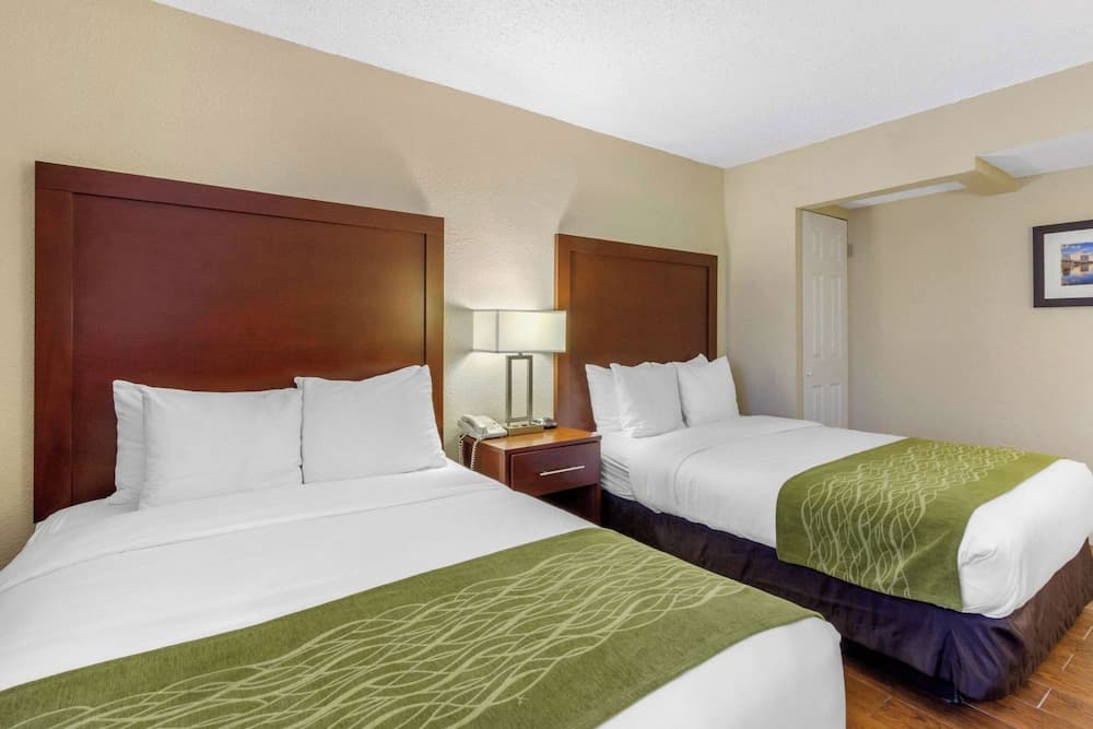 Comfort Inn St Petersburg North