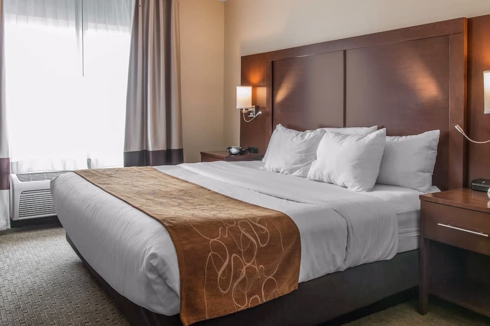 Comfort Suites Wixom - Novi