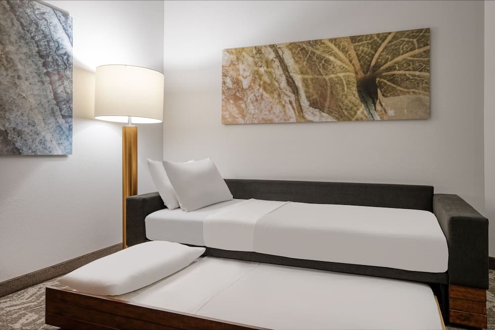 SpringHill Suites by Marriott Terre Haute