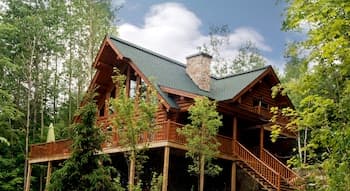 Blueberry Lake Resort