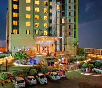 The Regenza by Tunga