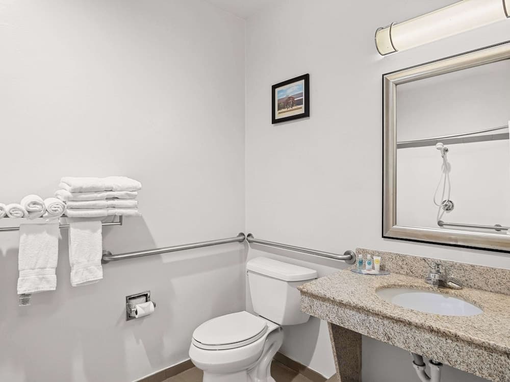 Comfort Suites Lindale - Tyler North