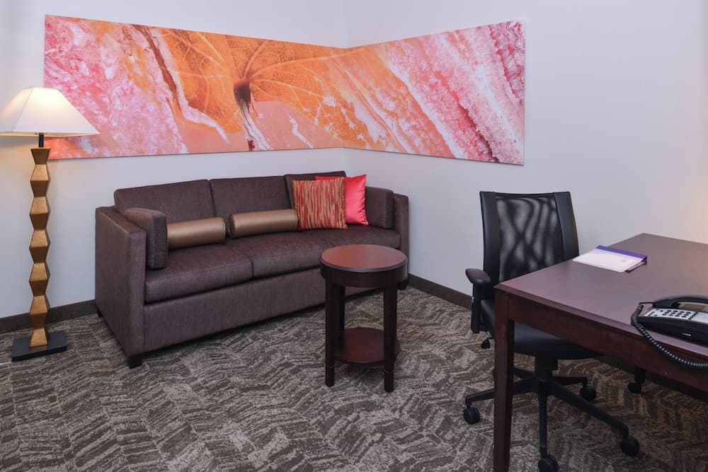 Springhill Suites by Marriott Oklahoma City Airport