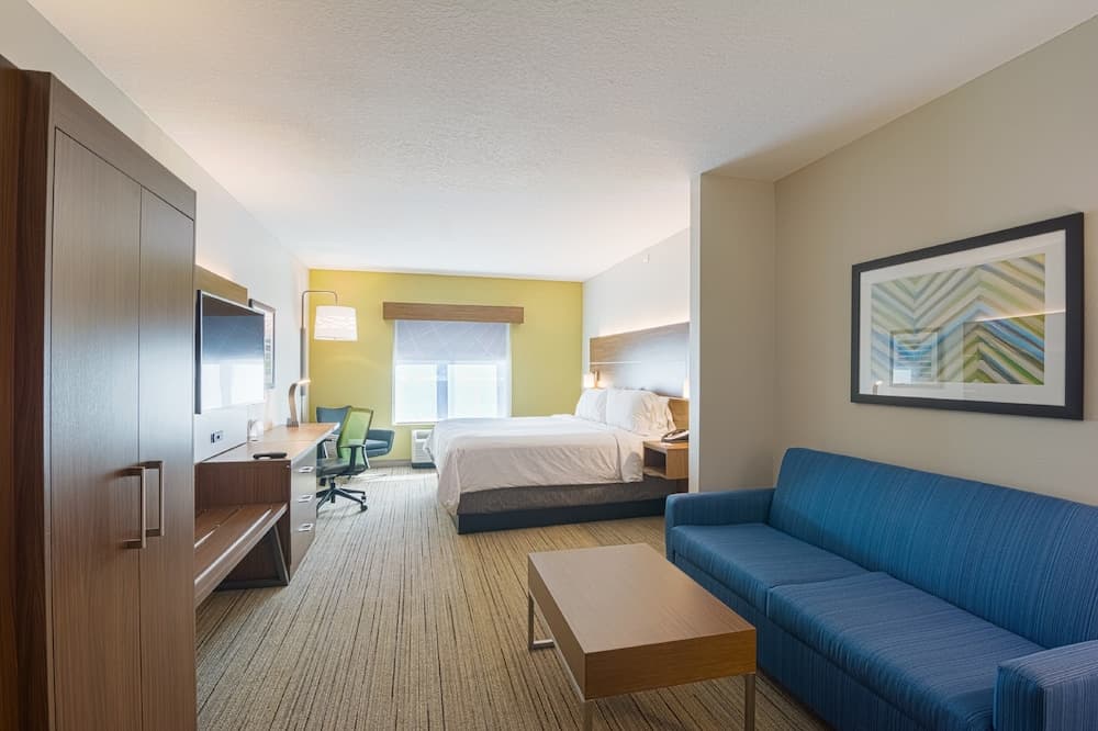 Holiday Inn Express & Suites Tampa USF Busch Gardens by IHG
