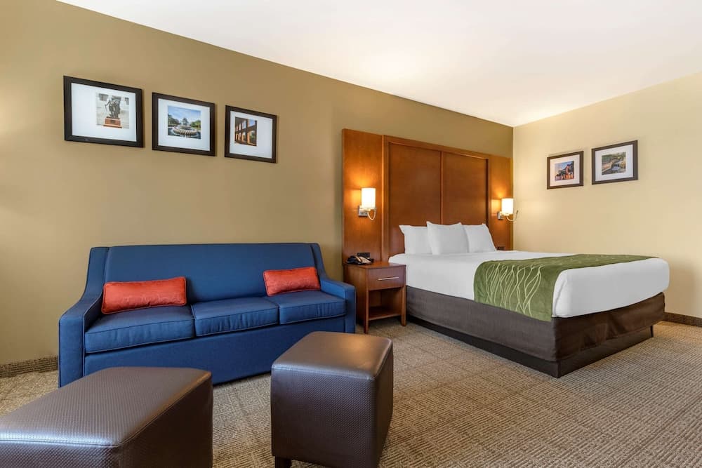 Comfort Inn & Suites Orangeburg