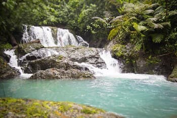 Naguala Jungle Lodge