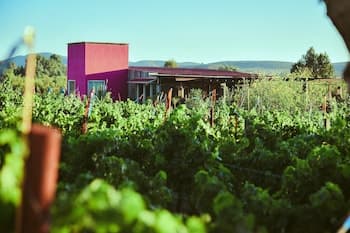 Ecléctico Guadalupe