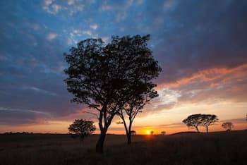 Ezemvelo Nature Reserve