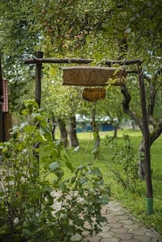 Bogolvar Retreat Resort