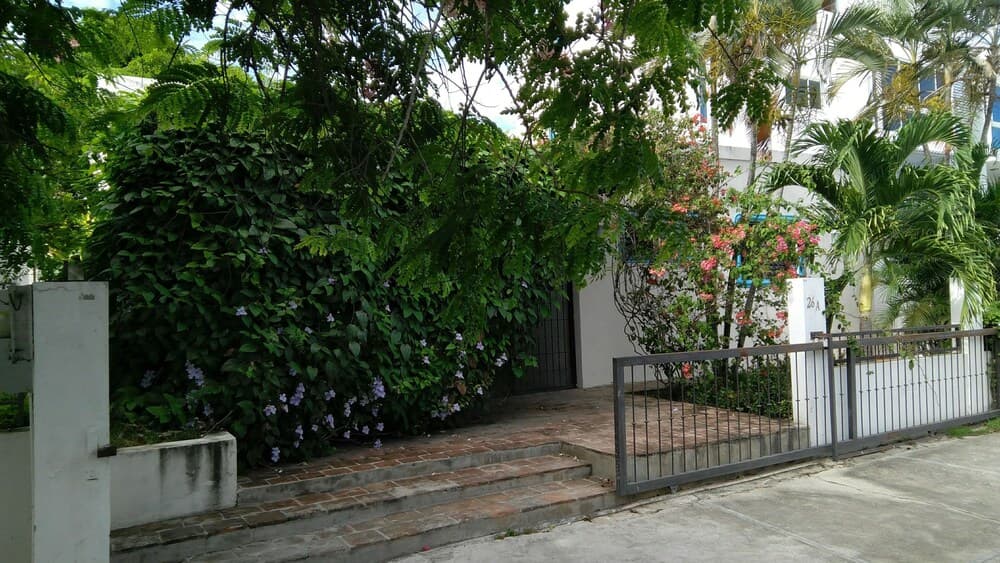 Villa Olga Apartment