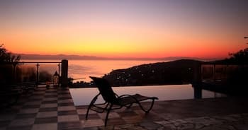 Artist's Villa Lilac Lilium