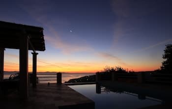 Artist's Villa Red Rose