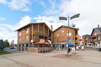 Levi Suites Levi Gold