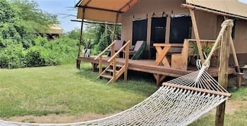 Africa Safari Lake Manyara