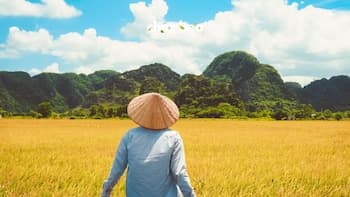 Chezbeo Homestay - Hostel