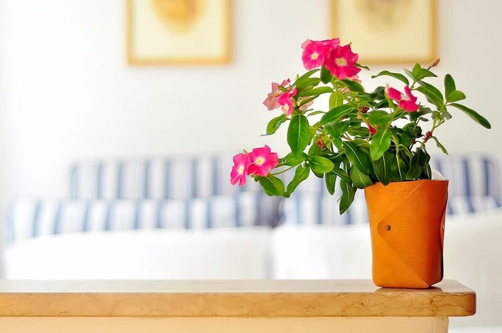 La casa del mercante Veneziano B&B