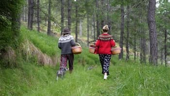 Kaldá Lyngholt Holiday Homes