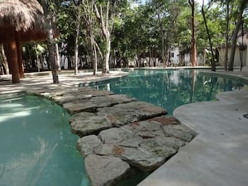 Tropical Paradise Apartment