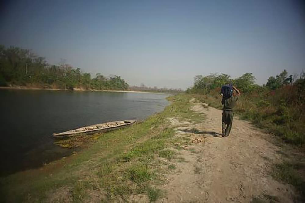 Island Jungle Resort