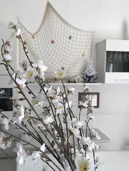 B&B Cagliari Ariosto