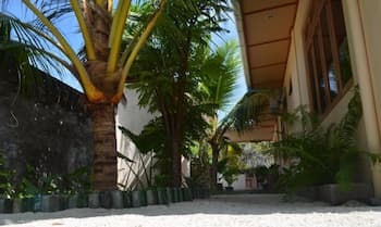 Summer Shade Maldives