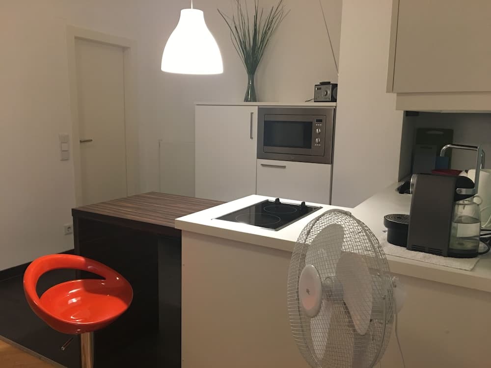 Heart of Vienna Opera House Studio