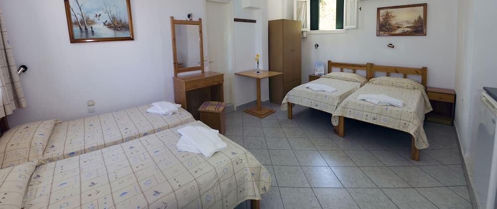 Alexandros Rooms & Studios