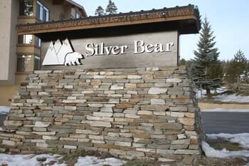 Silver Bear 36
