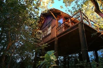 Pugdundee Safaris- Tree House Hideaway